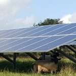 Goresbridge Solar Farm
